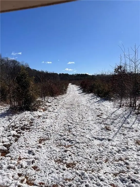 Picture 21