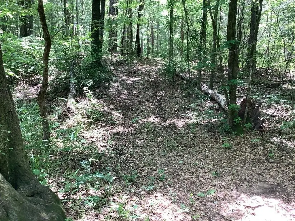 Picture 14