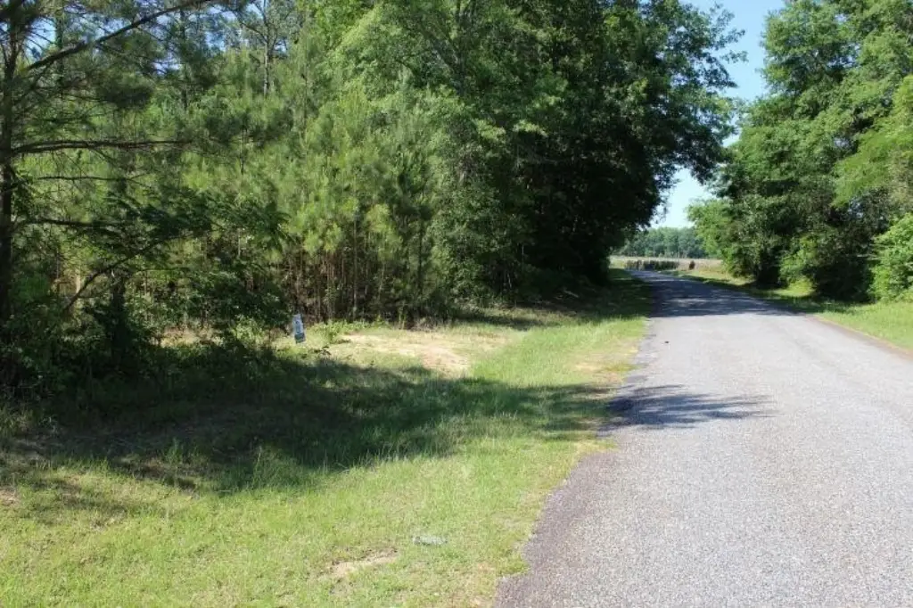 Picture 11