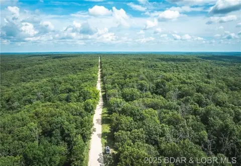 Camden County Timberland Opportunity