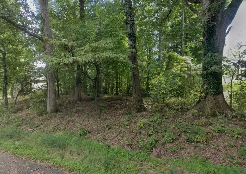 Picture 6