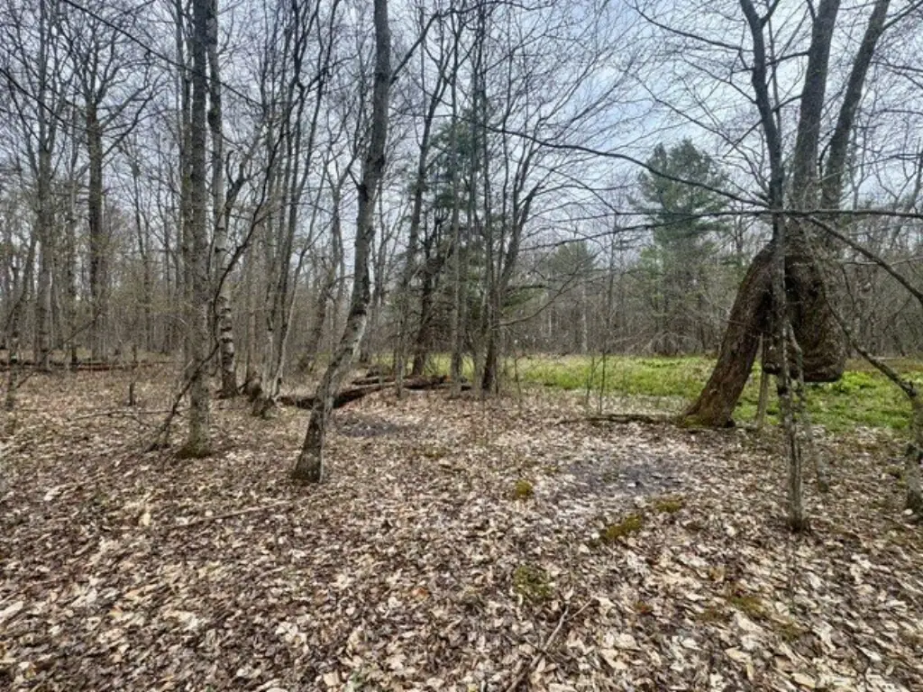 Picture 28