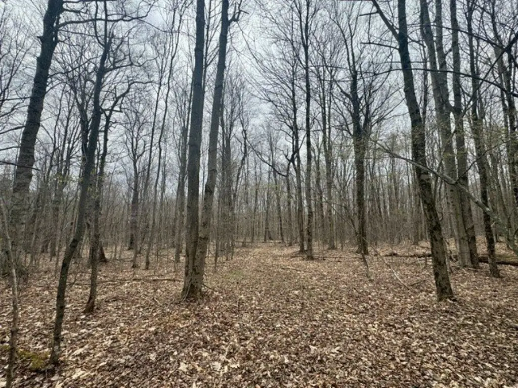 Picture 18