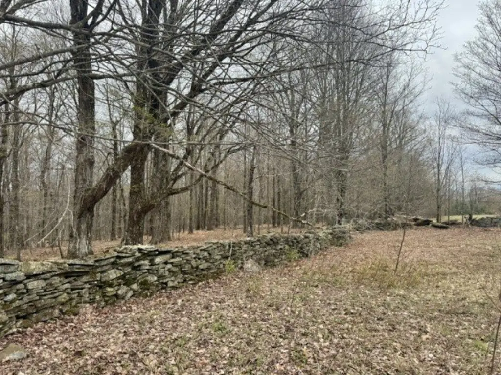 Picture 37