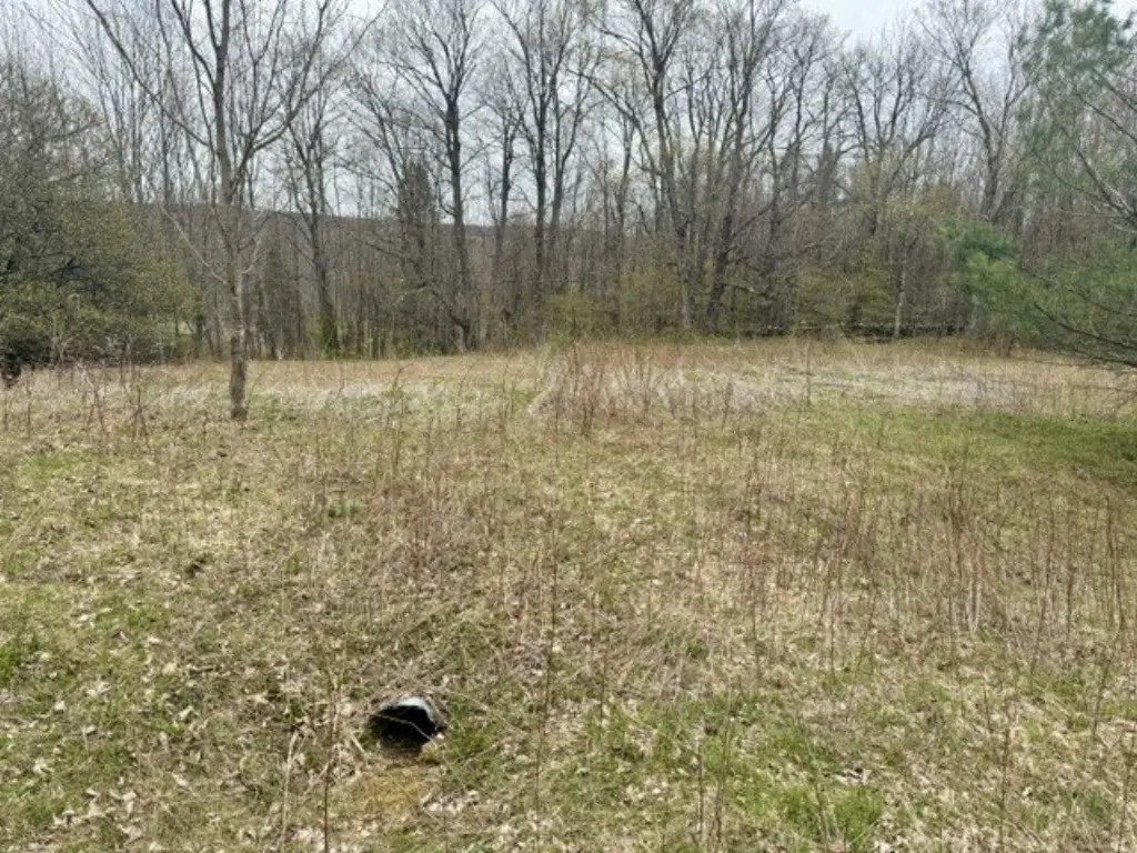 Picture 42