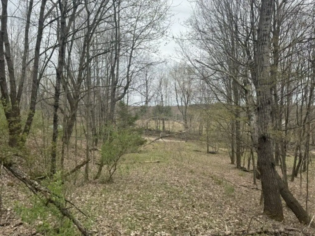 Picture 4