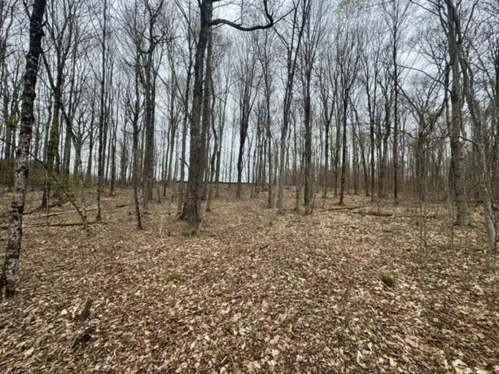 Picture 22