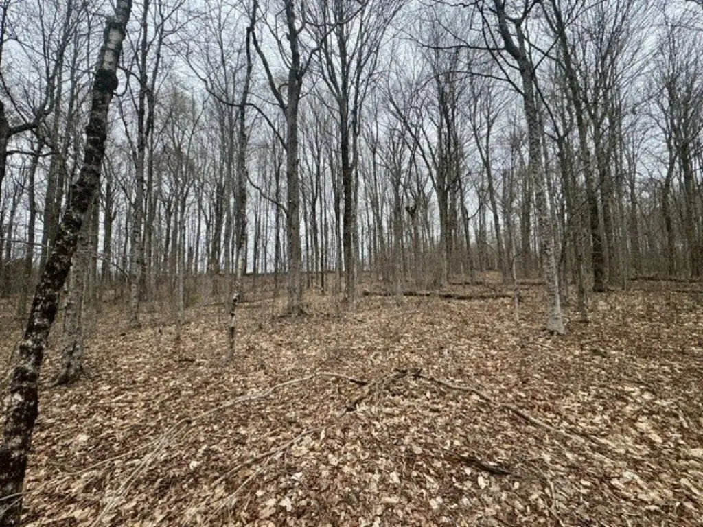 Picture 23