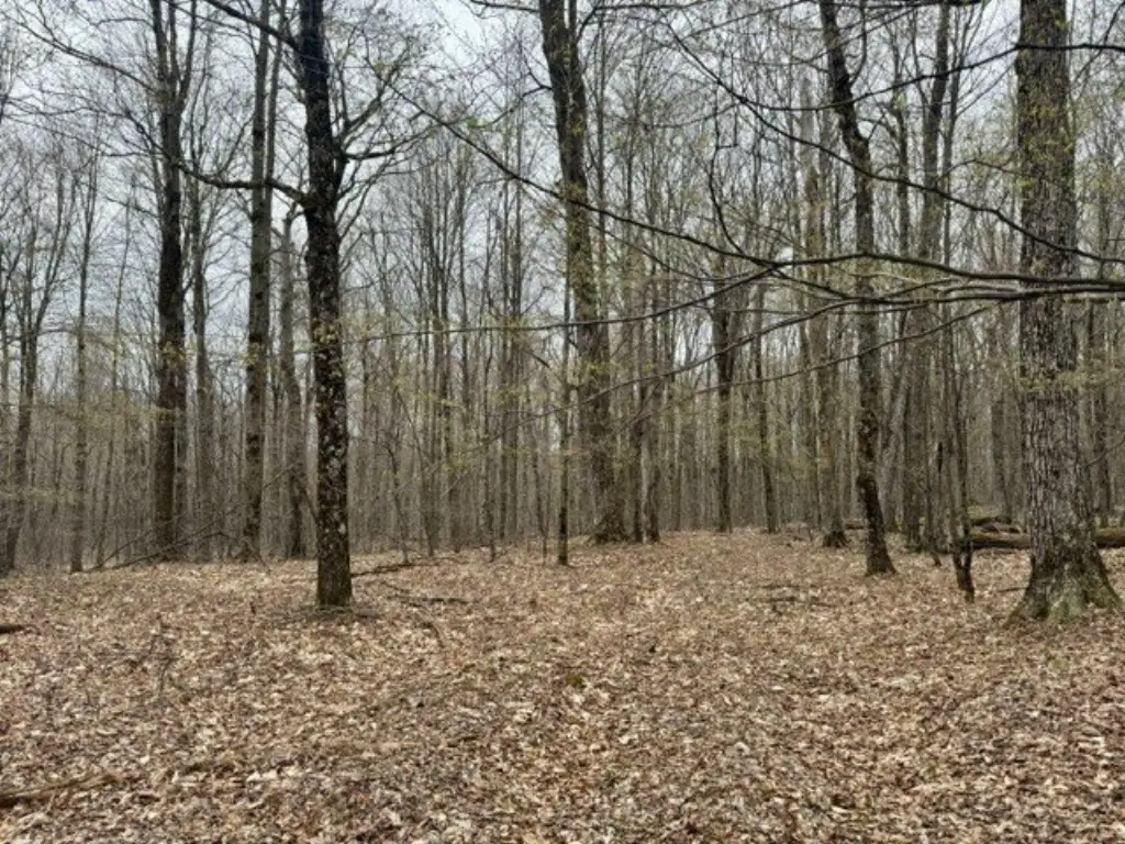 Picture 16