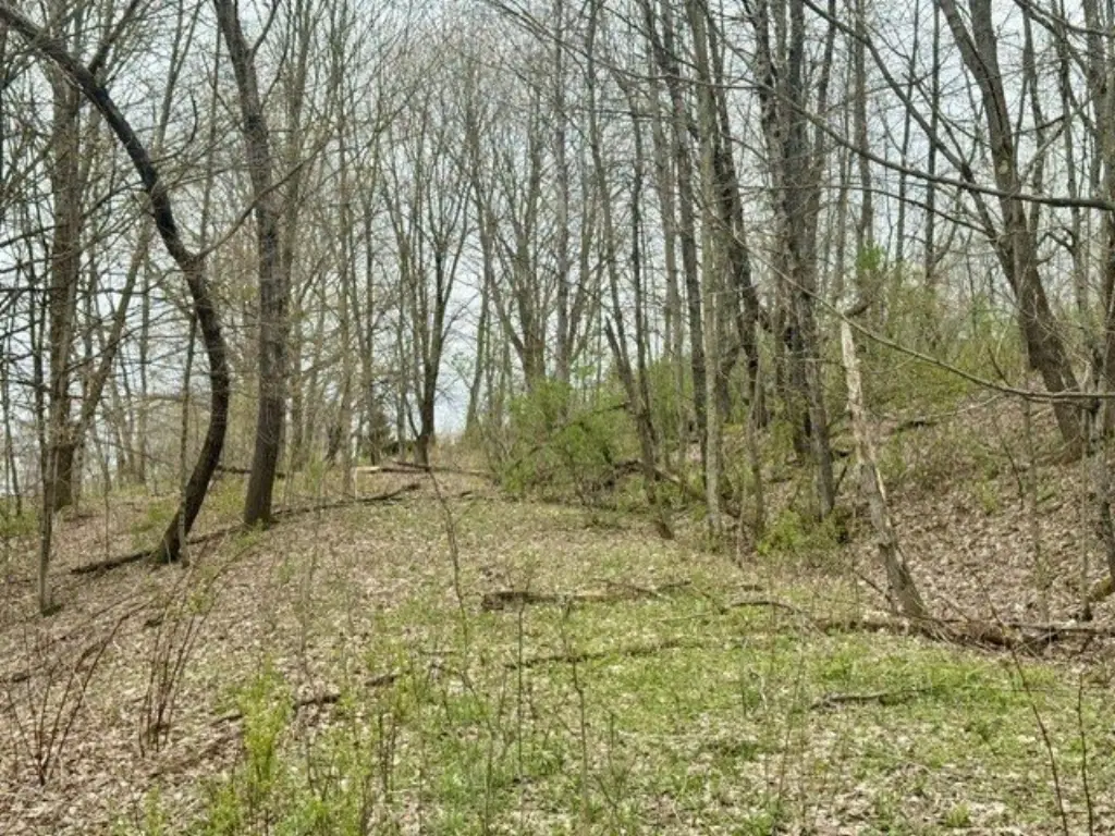 Picture 3