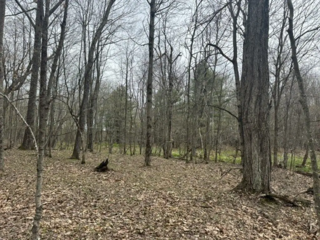 Picture 29