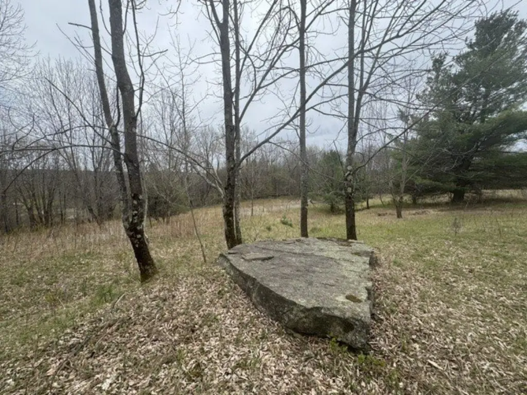 Picture 43