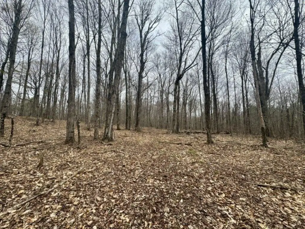 Picture 19