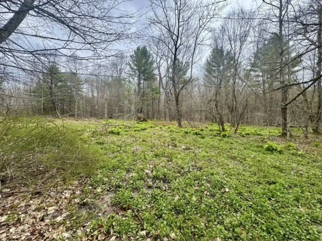 Picture 11