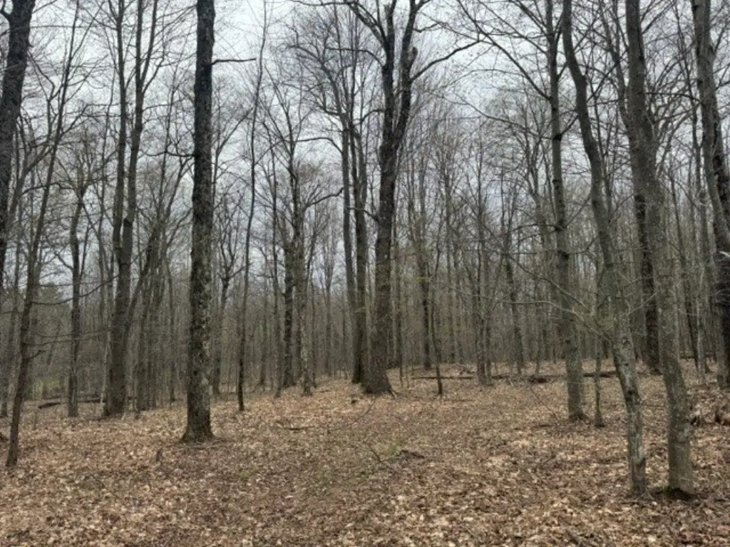 Picture 14