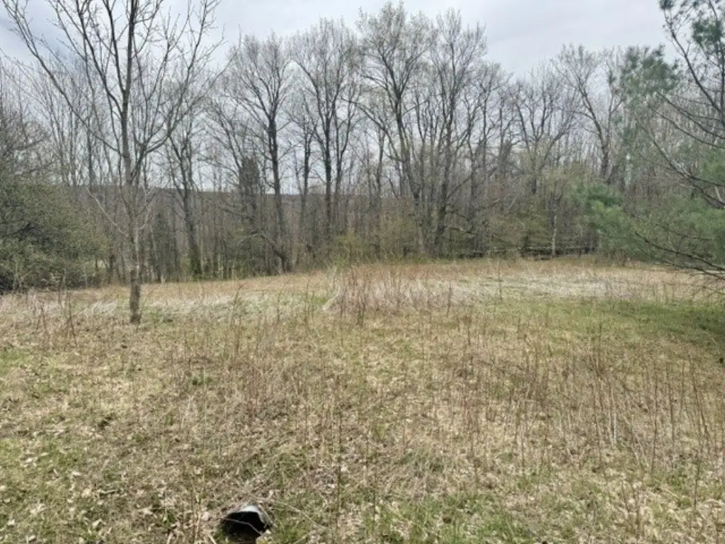 Picture 41