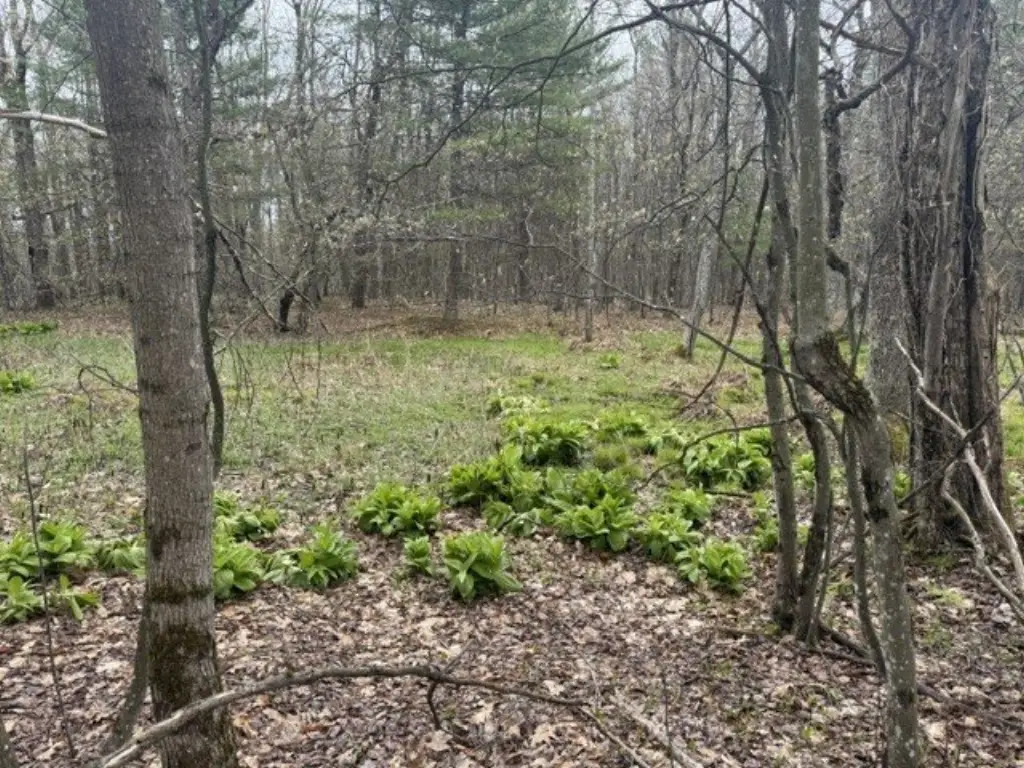 Picture 31
