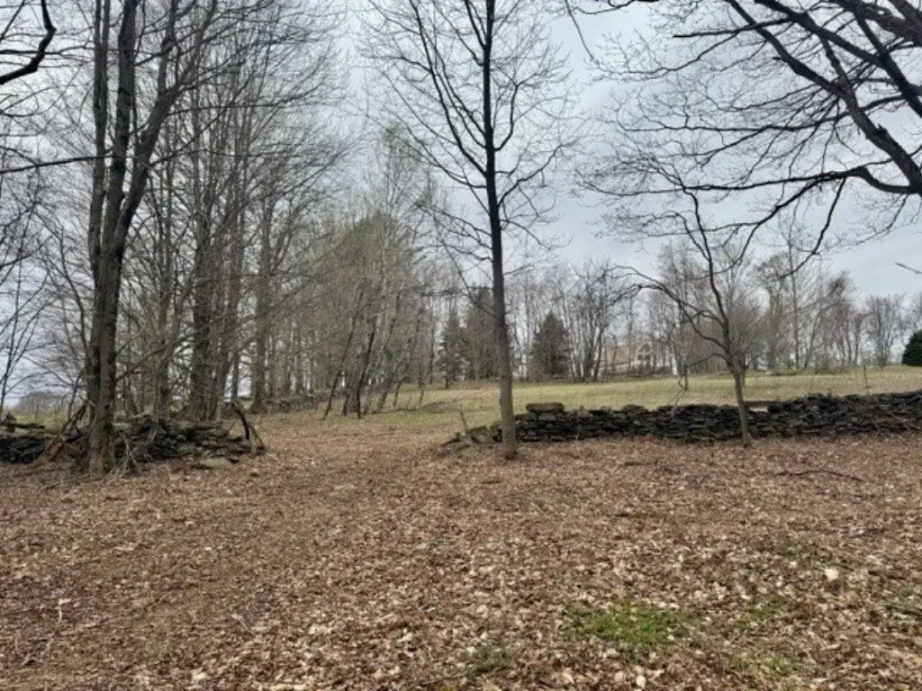 Picture 36