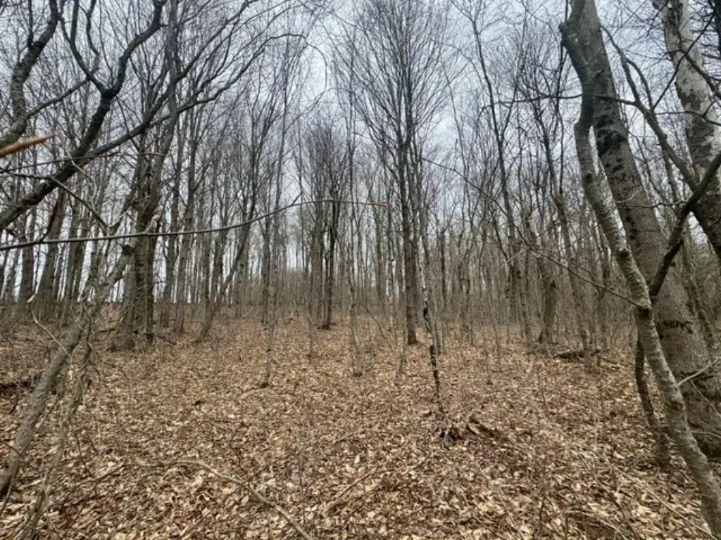 Picture 24