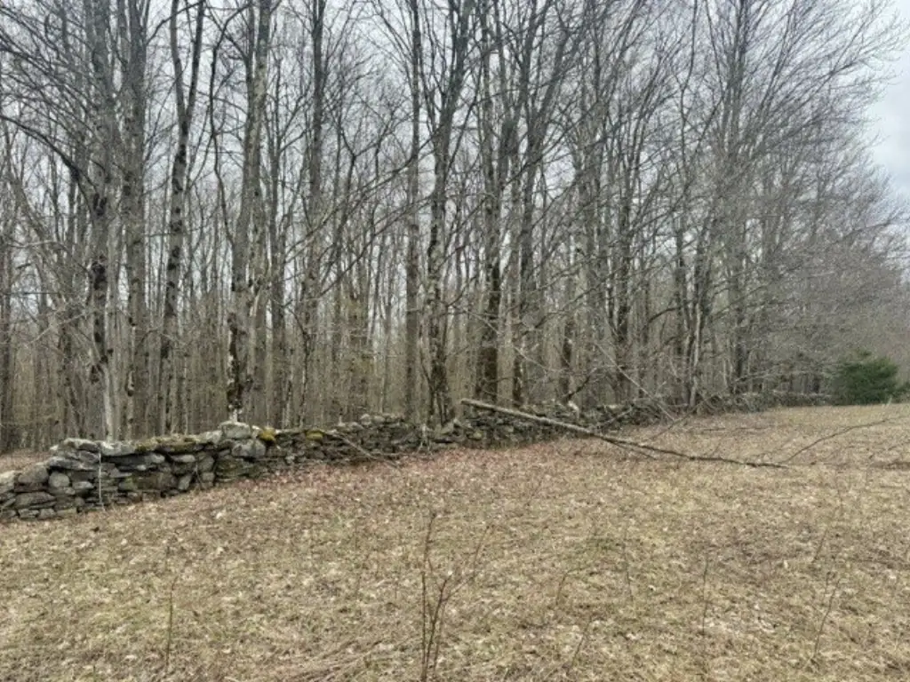 Picture 40