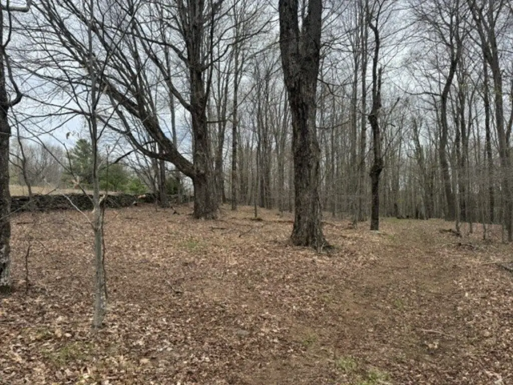 Picture 15