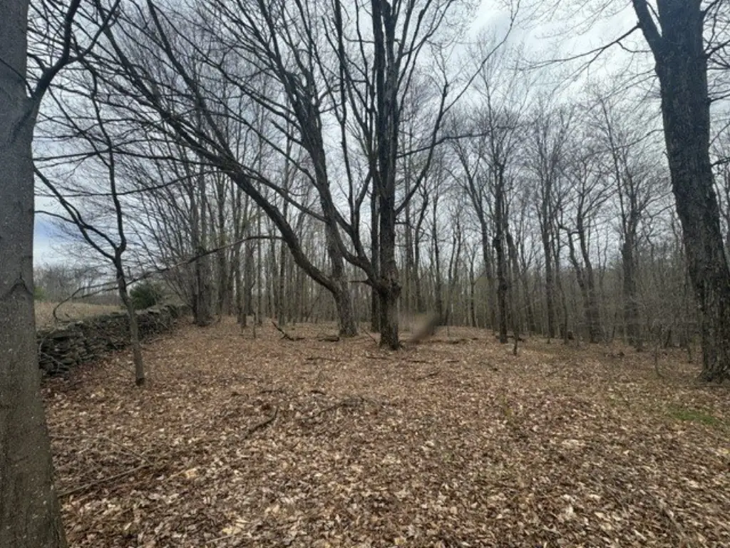 Picture 13