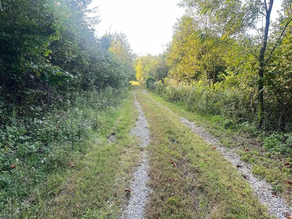 Picture 20