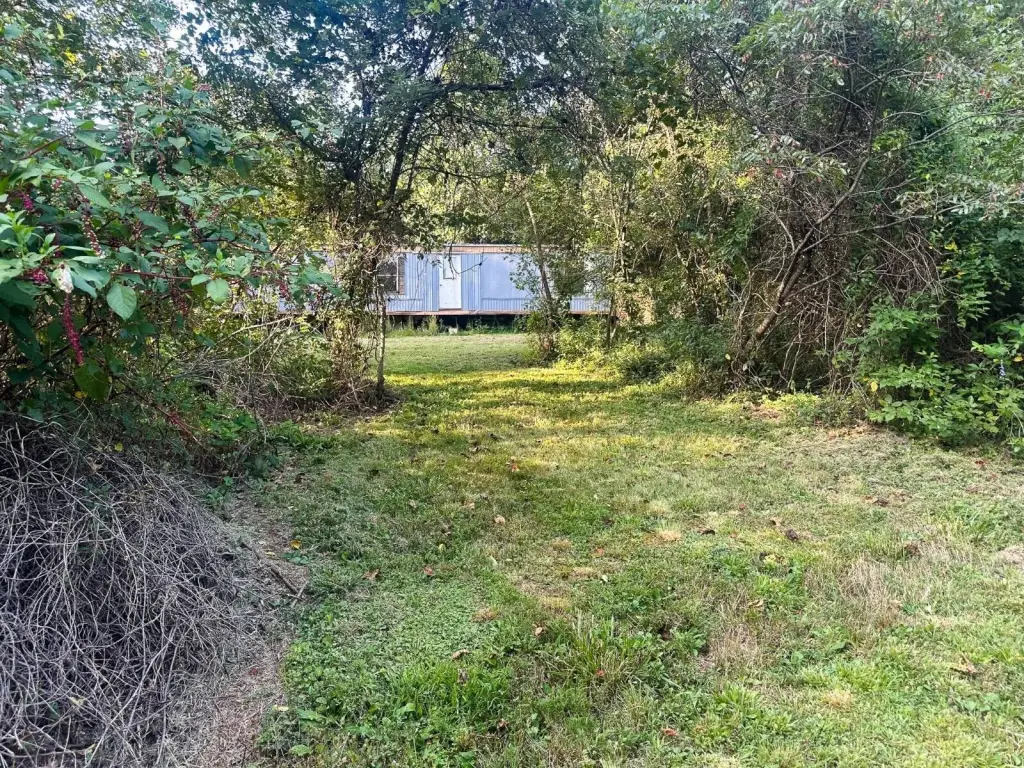 Picture 27