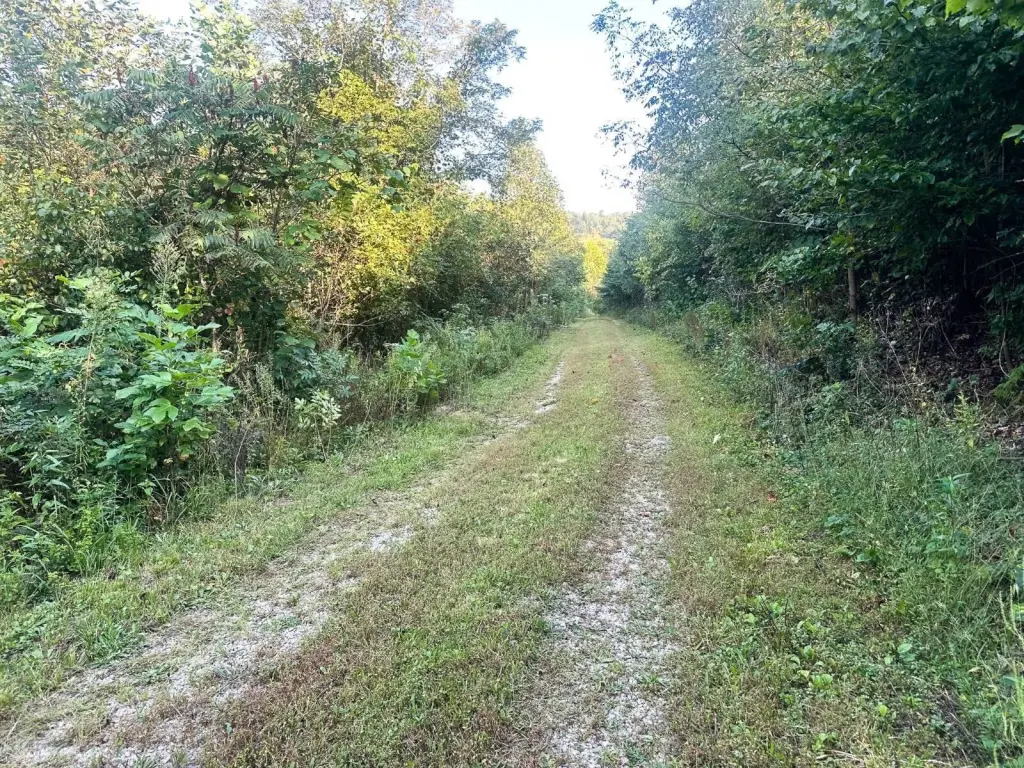 Picture 4