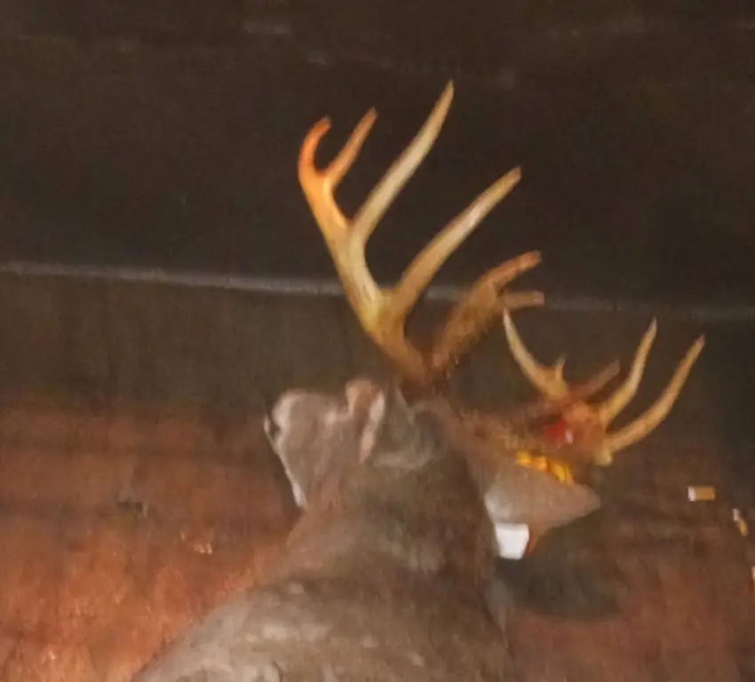 Picture 14