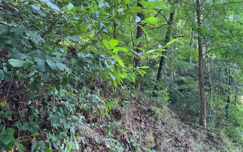 Hayesville, NC Vacant Land