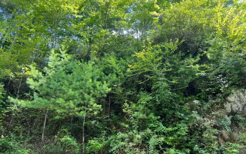 Hayesville, NC Vacant Land