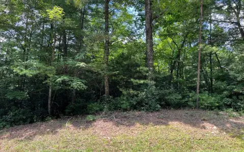 Hayesville, NC Vacant Land