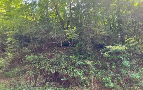 Hayesville, NC Vacant Lot