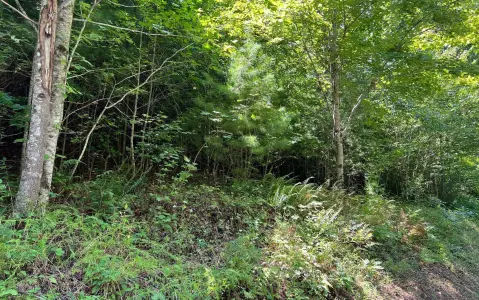 Hayesville, NC Vacant Land