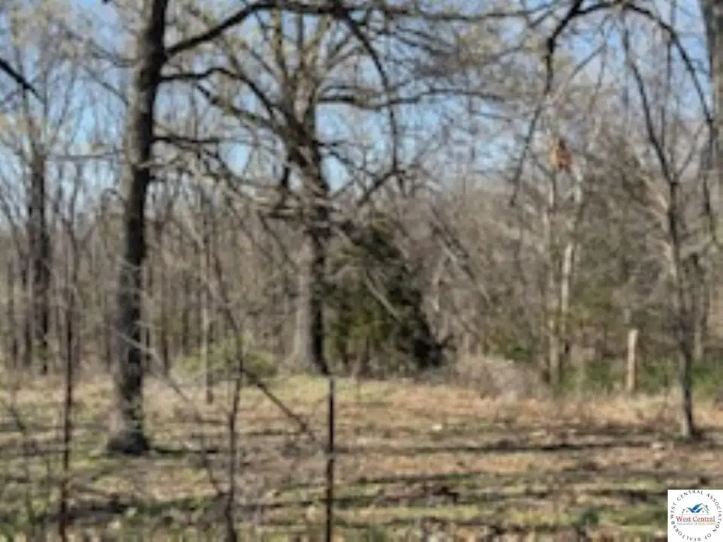 Picture 8