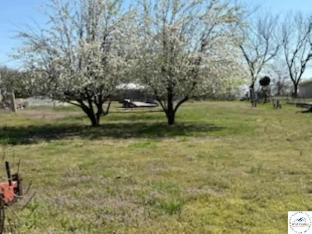 Picture 7