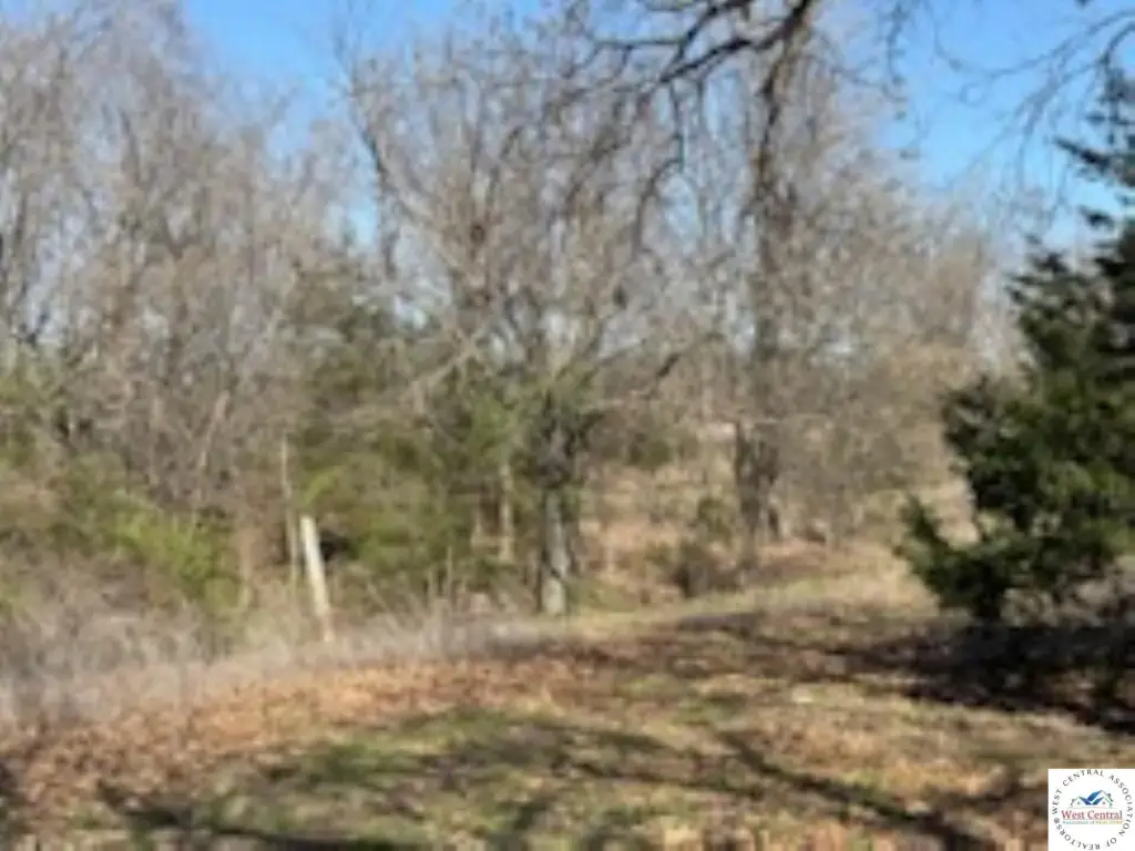 Picture 11