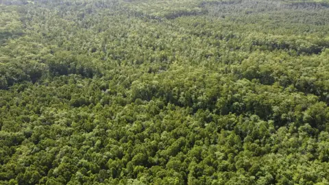 Maurepas Recreational Land For Sale