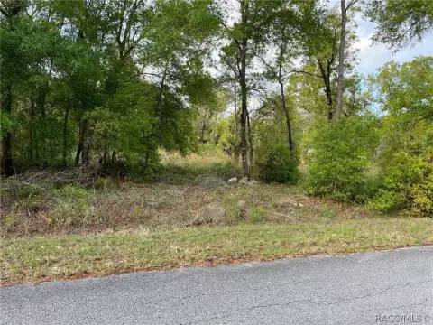 Wooded Lot in Rainbow Lakes