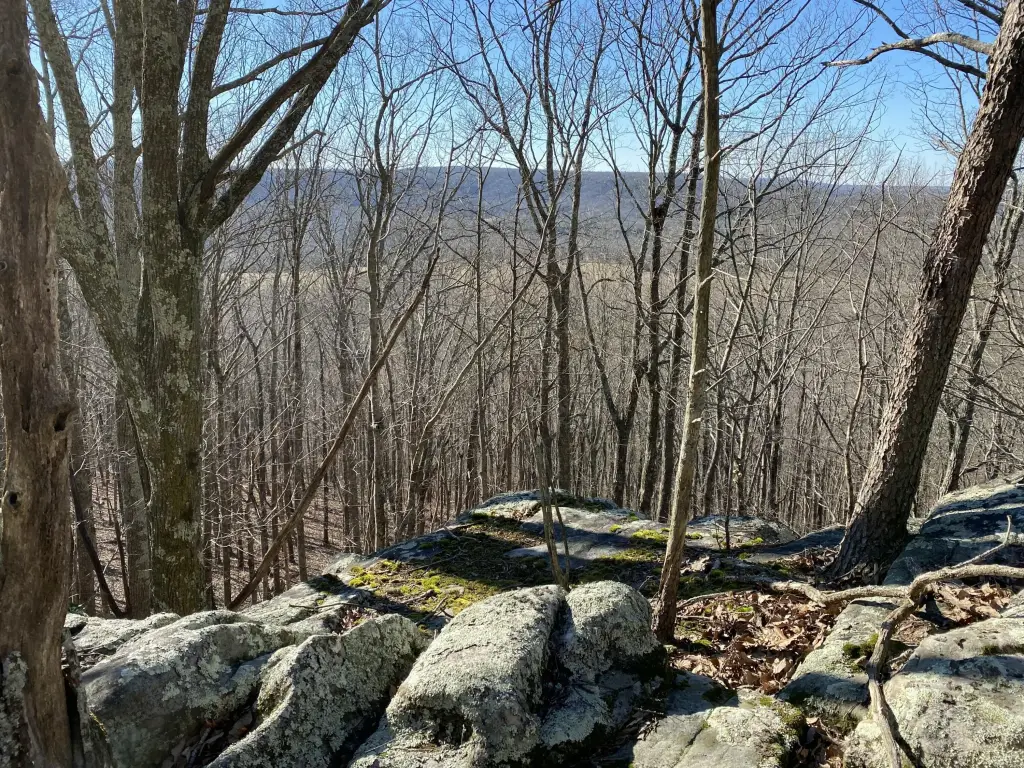 Picture 4