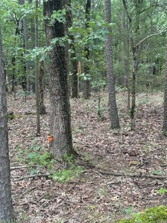 Picture 42