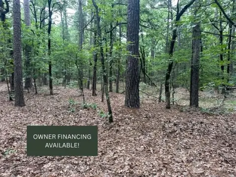Wooded Hunting Land