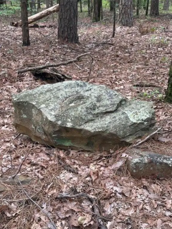 Picture 7