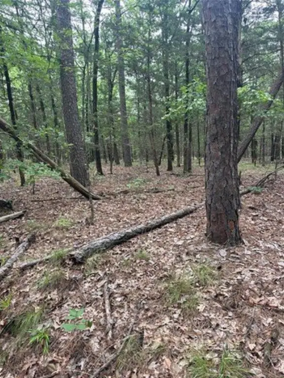 Picture 40