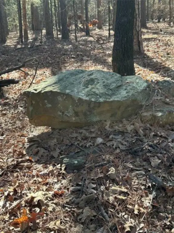 Picture 28