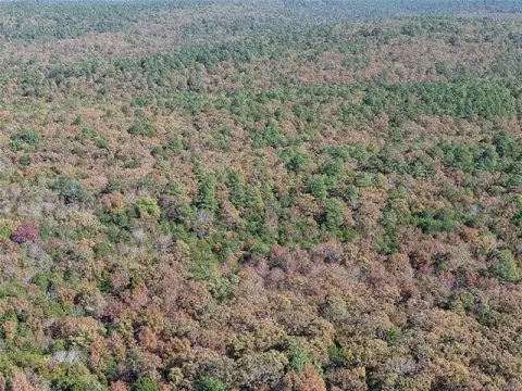 Recreational Hunting Land