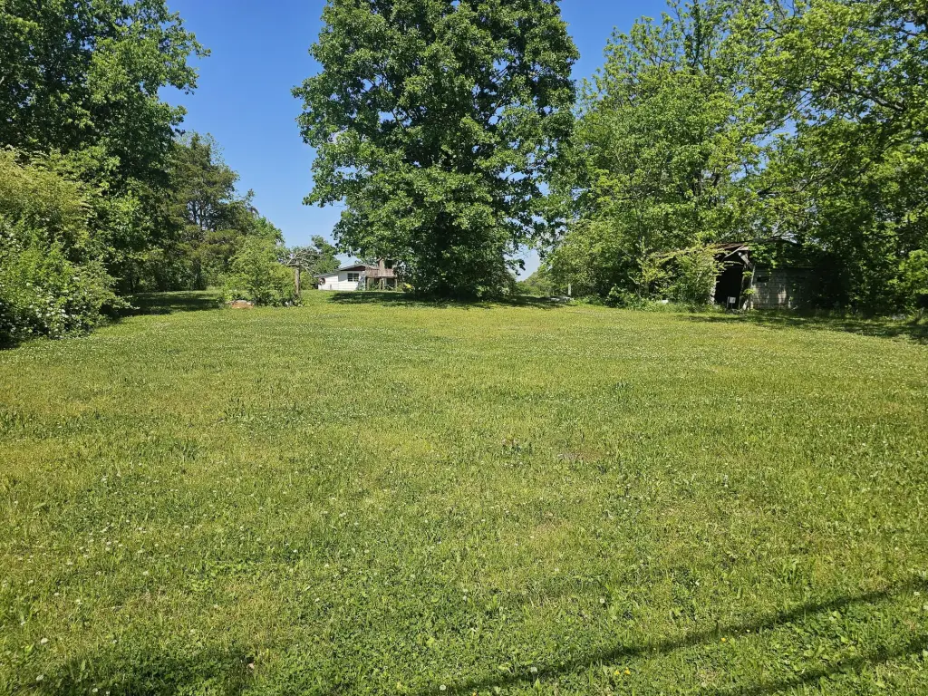 Picture 31