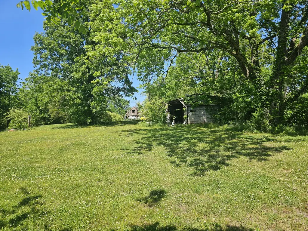Picture 24