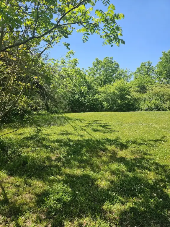 Picture 22